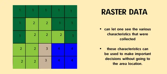 differentiaite between vector and raster data structure